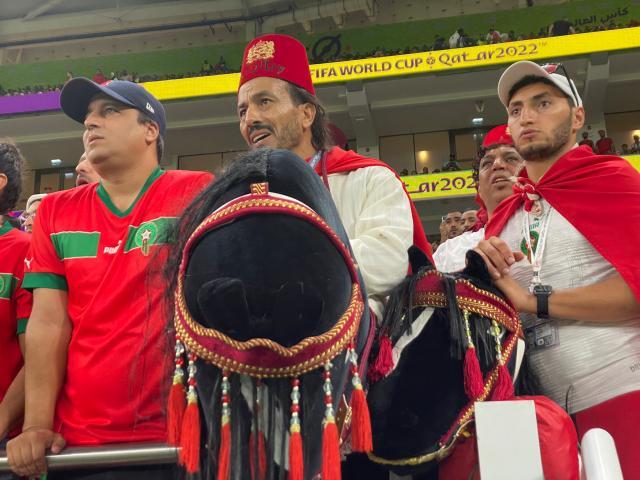 1669905007450053234.jpg 1.jpg